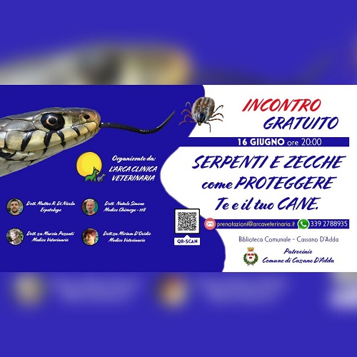 Serpenti e zecche, come proteggere te e il tuo cane