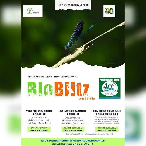 Bioblitz Lombardia